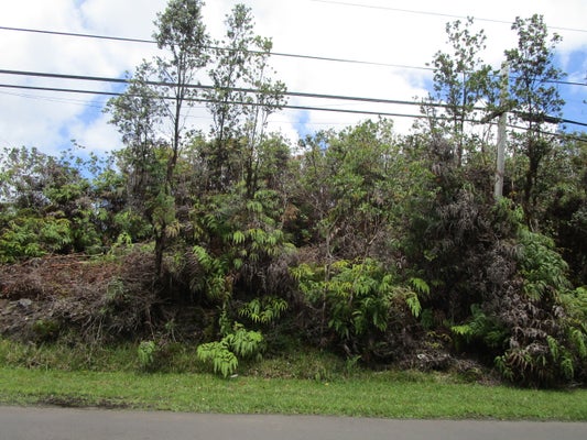 PALAINUI AVE, MOUNTAIN VIEW, HI 96771 - Image 6da2e8e8d2ff46a68d91d2e24fb24c3f/1206944144