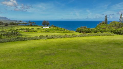 Tiny photo for Kauapea Rd, Kilauea, HI 96754 (MLS # 720037)