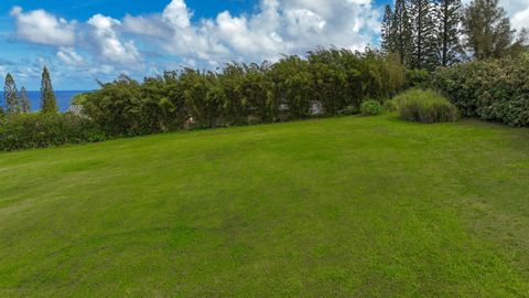 Tiny photo for Kauapea Rd, Kilauea, HI 96754 (MLS # 720037)