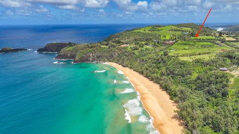 Photo of Kauapea Rd, Kilauea, HI 96754 (MLS # 720037)