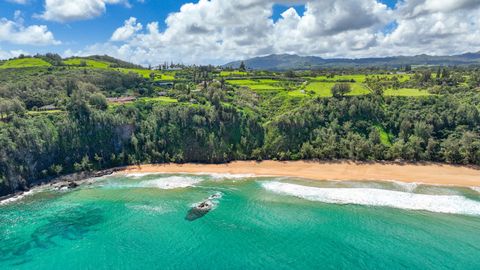 Tiny photo for Kauapea Rd, Kilauea, HI 96754 (MLS # 720037)