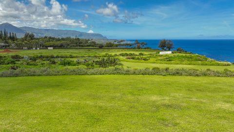 Tiny photo for Kauapea Rd, Kilauea, HI 96754 (MLS # 720037)