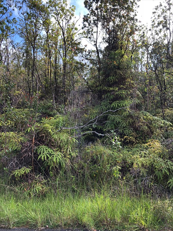 Photo 1 of 1 — HENO ST, Volcano, HI 96785