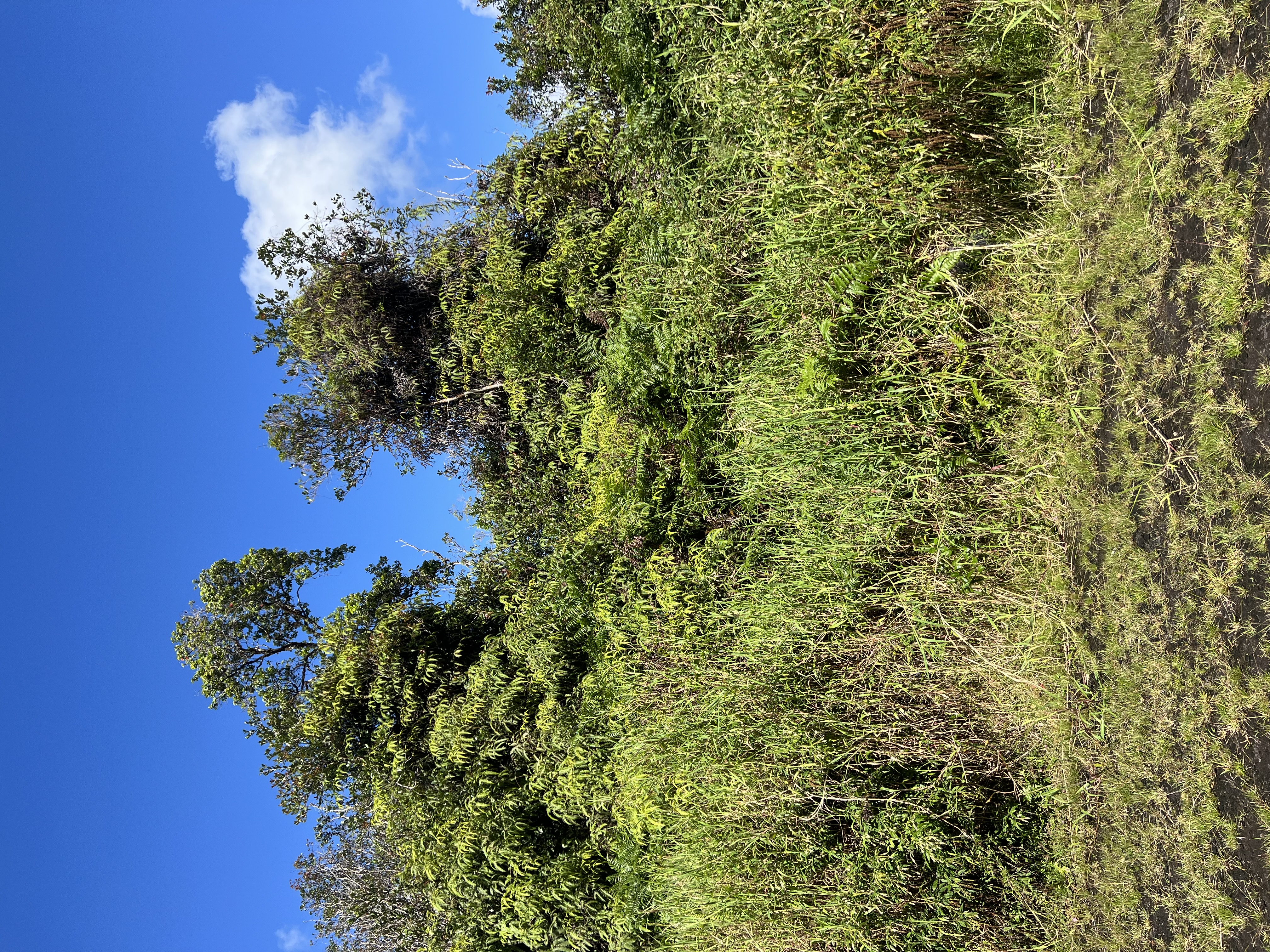 Photo 1 of 3 — HOLANA ST, Mountain View, HI 96771
