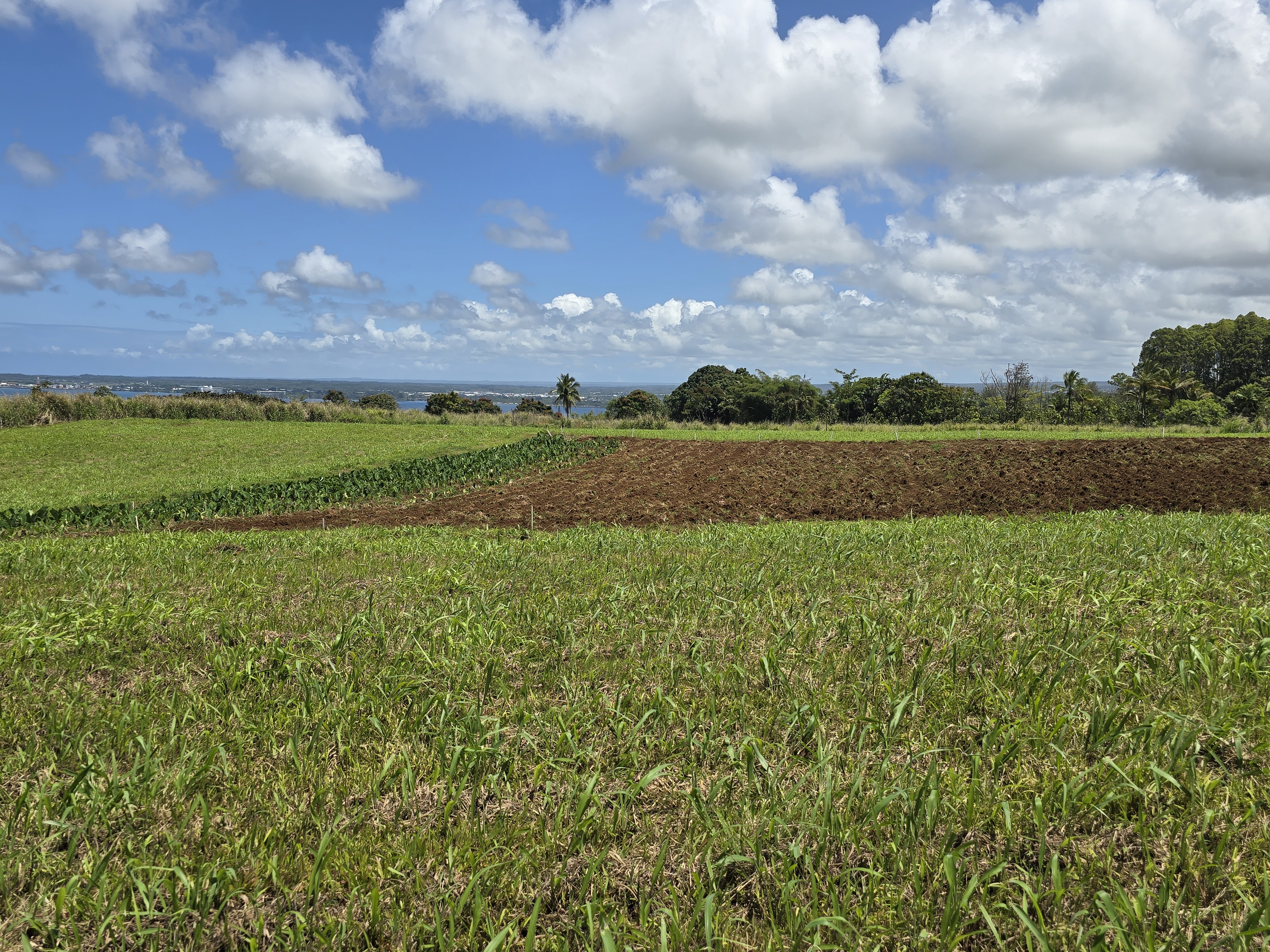 level to gently sloping hills. lot is cleared