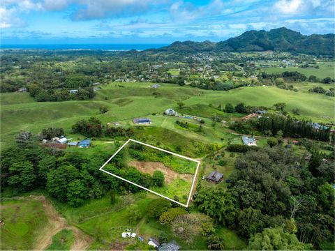 Tiny photo for Kipapa Rd #1, Kapaa, HI 96746 (MLS # 725095)