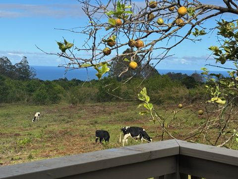 Photo of 28-646 Kaupakuea Homestead Rd, Pepeekeo, HI 96783 (MLS # 723617)