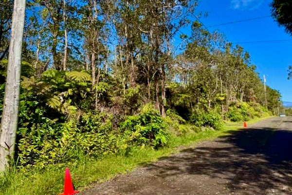 ANUHEA PL, VOLCANO, HI 96785 - Image 72da1ddaeb222d44dfeecea11f949e4f/1230319600