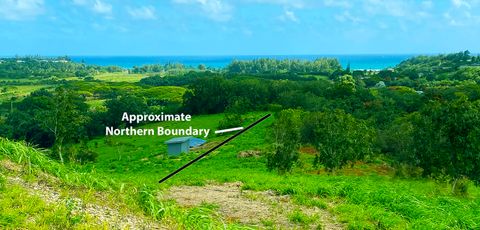 Tiny photo for Laipo Rd, Kapaa, HI 96746 (MLS # 721549)