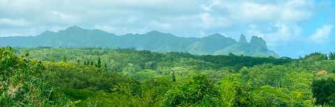 Photo of Laipo Rd, Kapaa, HI 96746 (MLS # 721549)