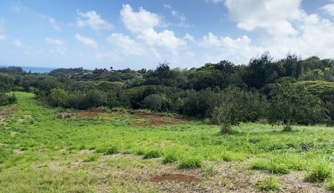 Tiny photo for Laipo Rd, Kapaa, HI 96746 (MLS # 721549)