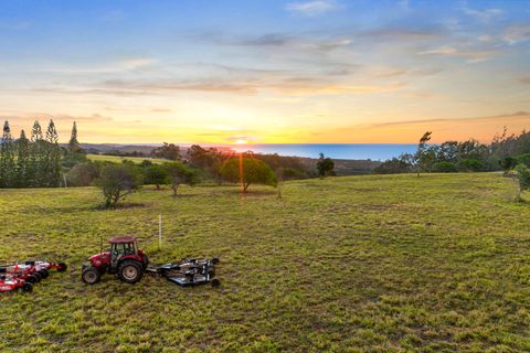 Tiny photo for 3 Lolo Rd, Kalaheo, HI 96741 (MLS # 725913)