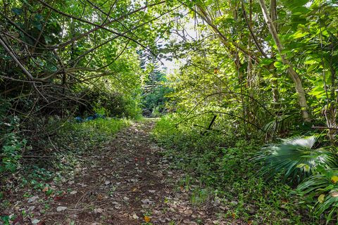 Tiny photo for 6828-B Kuamoo Rd #2, Kapaa, HI 96746 (MLS # 726633)