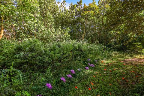 Tiny photo for 6828-B Kuamoo Rd #2, Kapaa, HI 96746 (MLS # 726633)