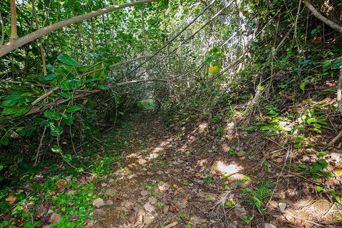 Tiny photo for 6828-B Kuamoo Rd #2, Kapaa, HI 96746 (MLS # 726633)