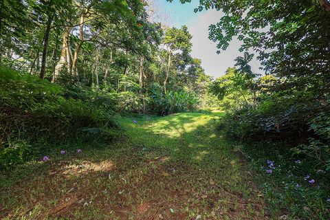 Tiny photo for 6828-B Kuamoo Rd #2, Kapaa, HI 96746 (MLS # 726633)