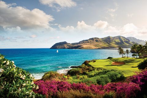 Tiny photo for 3770 Alaoli Way #1002, Lihue, HI 96766 (MLS # 727975)