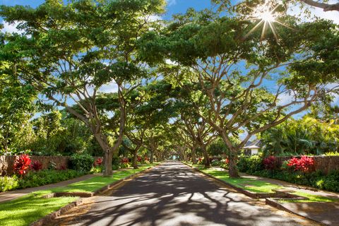 Tiny photo for 5599 Holo Malanai St, Koloa, HI 96756 (MLS # 726481)