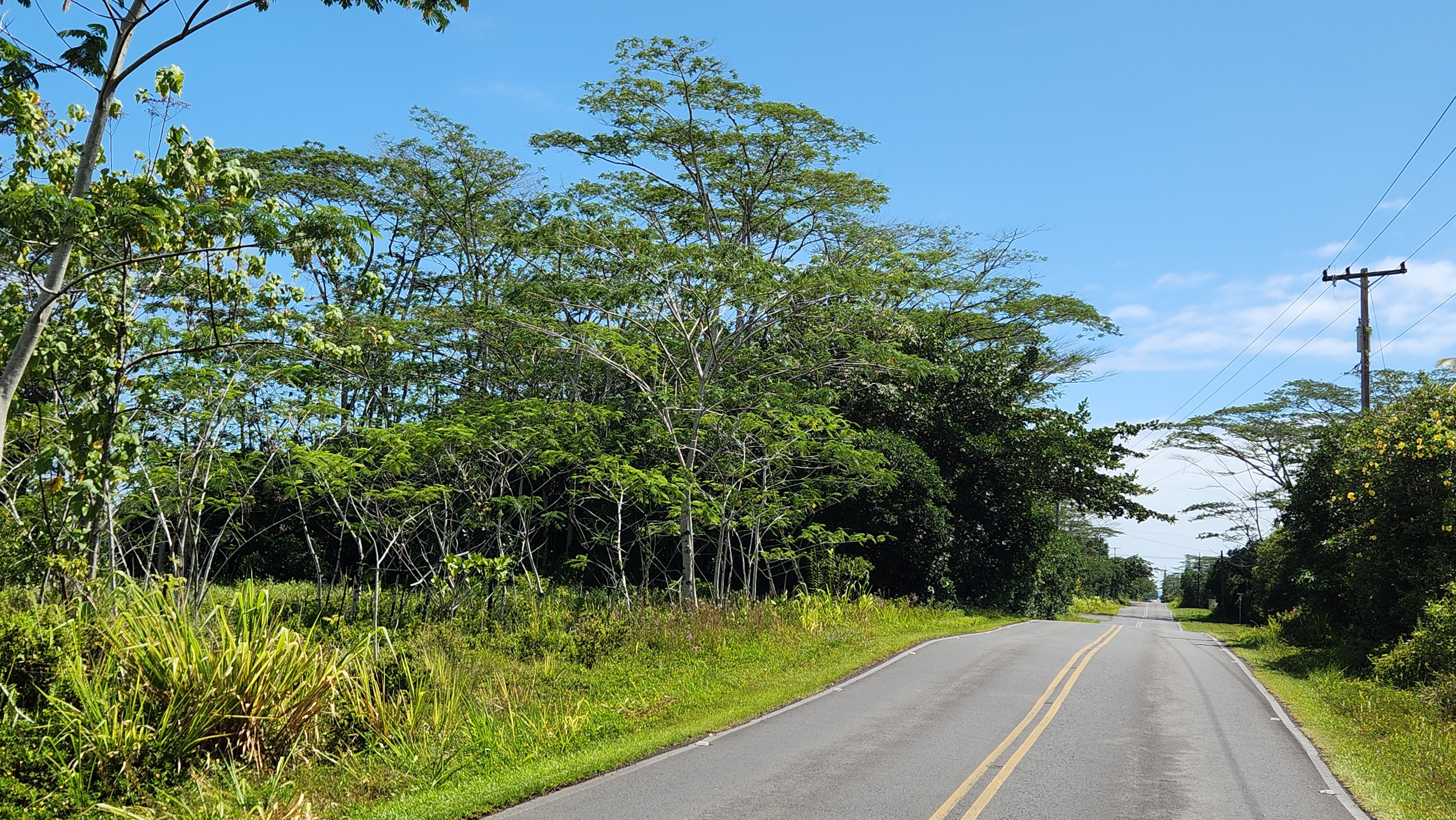 Photo 1 of 4 — 15-1746 9TH AVE, Keaau, HI 96749