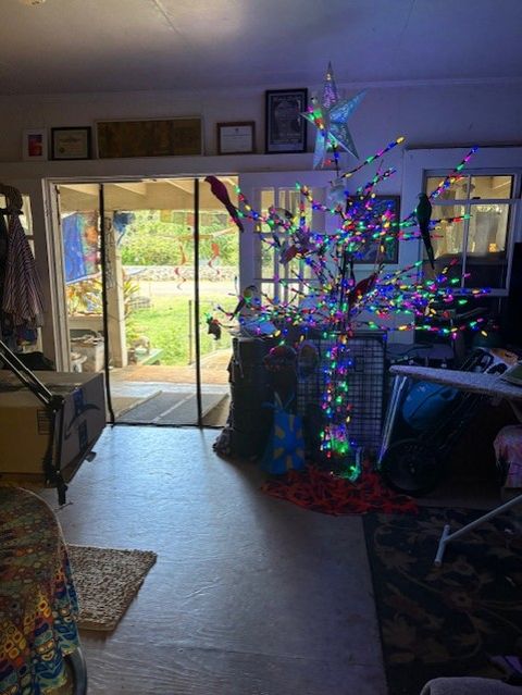 Tiny photo for 3861 Koula Rd, Hanapepe, HI 96716 (MLS # 722043)