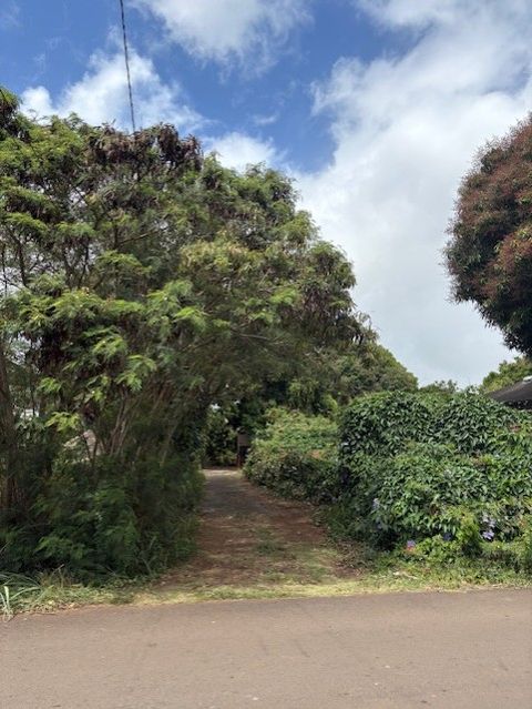 Tiny photo for 3861 Koula Rd, Hanapepe, HI 96716 (MLS # 722043)