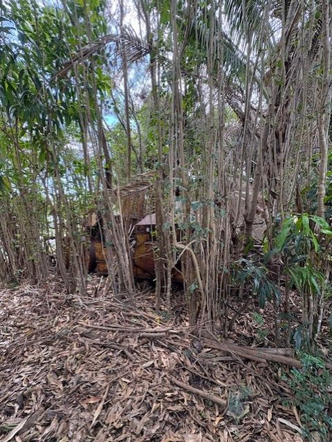 Tiny photo for 3861 Koula Rd, Hanapepe, HI 96716 (MLS # 722043)