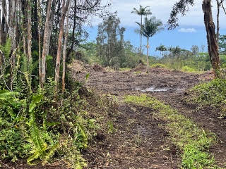 Photo 1 of 21 — 16-1235 39TH AVE, Kurtistown, HI 96760