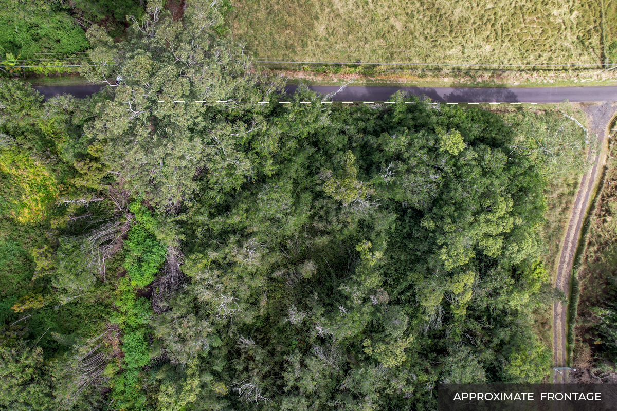 18-4205 N PECK RD - Photo 4