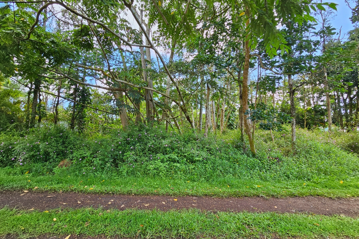 Photo 1 of 6 — PRISCILLA RD, Pahoa, HI 96778