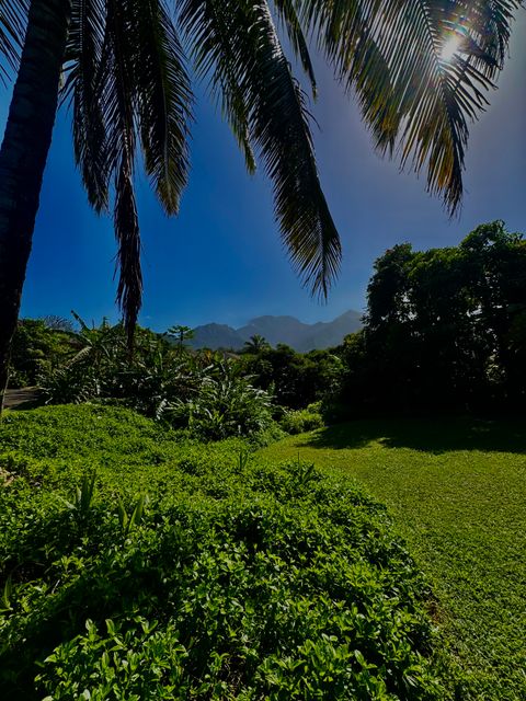Tiny photo for 5339 Honoiki Rd, Princeville, HI 96722 (MLS # 727801)