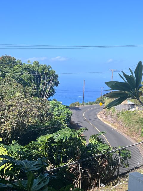 Photo of 79-7199 Mamalahoa Highway #106, Holualoa, HI 96725 (MLS # 727600)