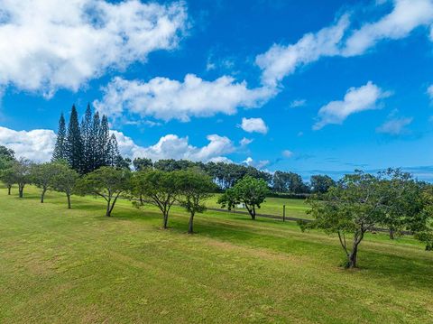 Tiny photo for Kapuna Rd, Kilauea, HI 96754 (MLS # 712881)