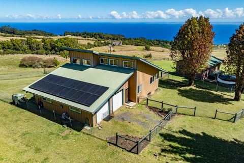 Photo of 35-1183 Homestead Rd, Laupahoehoe, HI 96764 (MLS # 720387)
