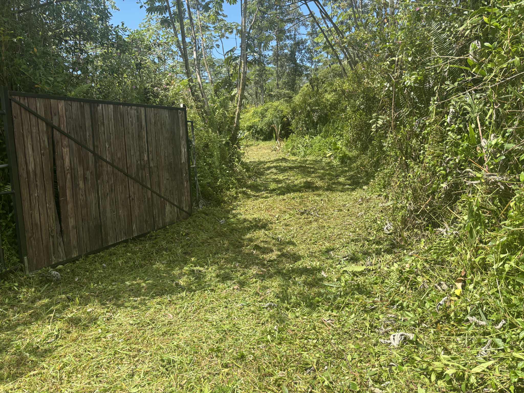 14-3379 PAKALANA RD - Photo 2