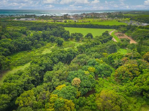 Tiny photo for Apopo Rd, Kapaa, HI 96746 (MLS # 718282)