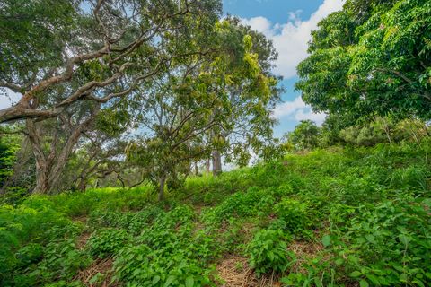 Tiny photo for Apopo Rd, Kapaa, HI 96746 (MLS # 718282)