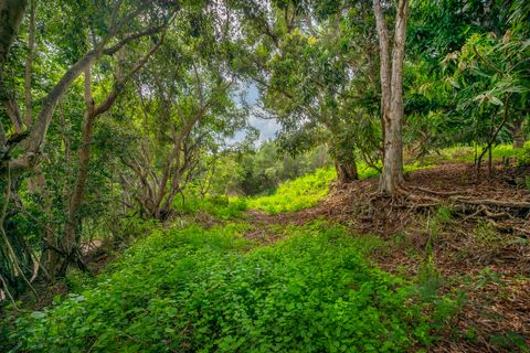Tiny photo for Apopo Rd, Kapaa, HI 96746 (MLS # 718282)
