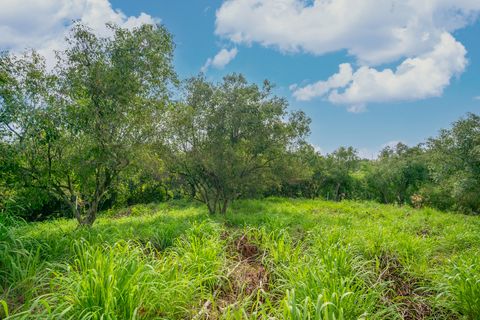 Tiny photo for Apopo Rd, Kapaa, HI 96746 (MLS # 718282)
