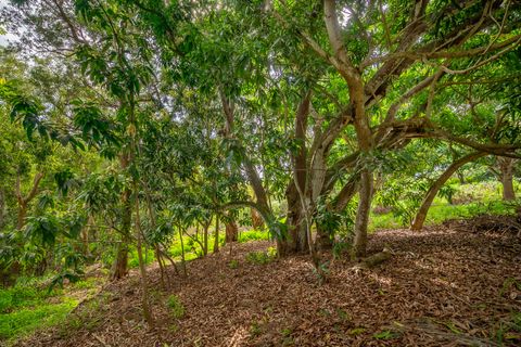 Tiny photo for Apopo Rd, Kapaa, HI 96746 (MLS # 718282)