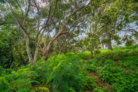Tiny photo for Apopo Rd, Kapaa, HI 96746 (MLS # 718282)