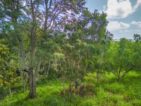 Tiny photo for Apopo Rd, Kapaa, HI 96746 (MLS # 718282)