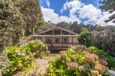 Photo of 99-1808 Painiu Loop, Volcano, HI 96785 (MLS # 734357)