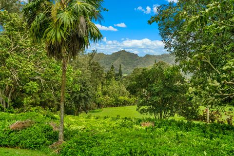 Tiny photo for 597 Puuopae Rd, Kapaa, HI 96746 (MLS # 728328)