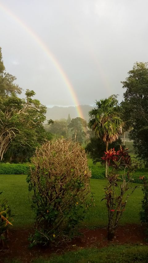 Tiny photo for 597 Puuopae Rd, Kapaa, HI 96746 (MLS # 728328)