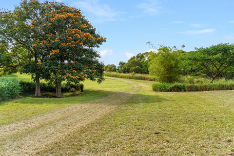 Photo of 55-442 Hoea Rd, Hawi, HI 96719 (MLS # 725758)