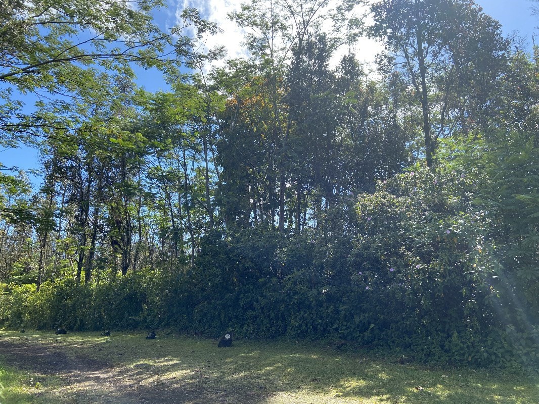 Photo 1 of 2 — TUTU RD, Pahoa, HI 96778