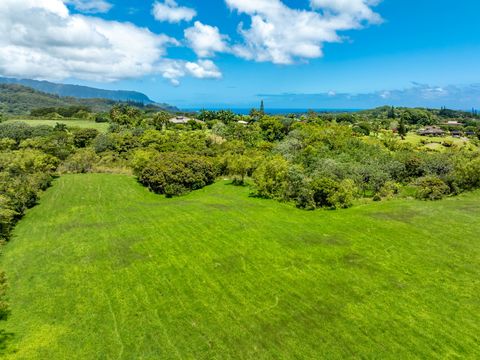 Tiny photo for 3791 Ahonui Pl, Princeville, HI 96722 (MLS # 721933)