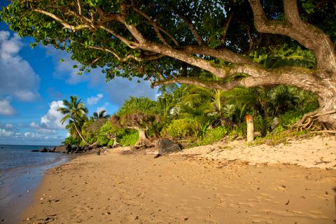 Tiny photo for 4261 Anini Rd #2, Kilauea, HI 96754 (MLS # 726254)