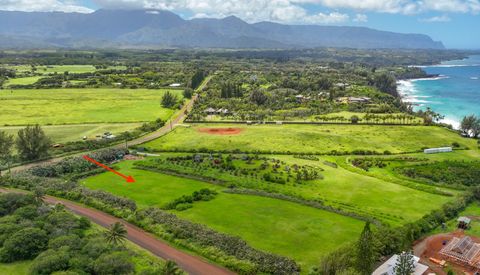 Tiny photo for Kauapea Rd, Kilauea, HI 96754 (MLS # 720038)