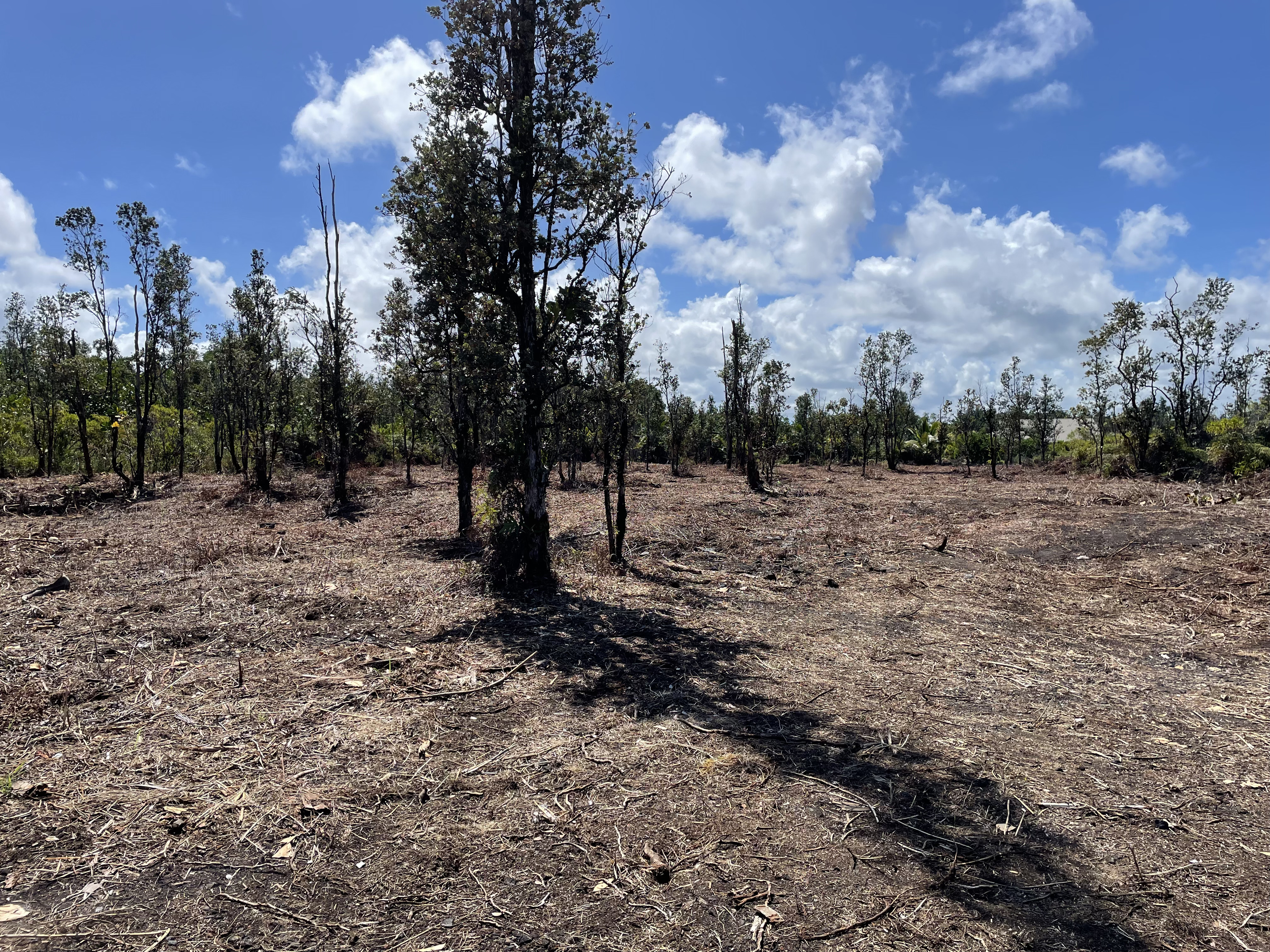 Photo 1 of 5 — 15-1462 8TH AVE, Keaau, HI 96749